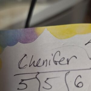 Colorful Chenille Notebook